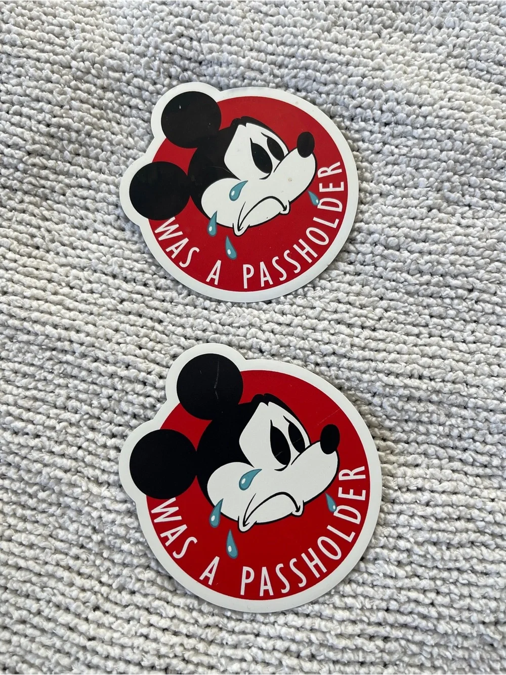 Disney Mickey Mouse annual  “Was a Passholder” Magnet Set of 2  Souvenir